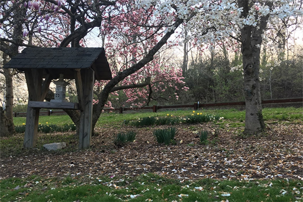 Bloom Where You Are Planted: The Botanical Jewels of Cincinnati