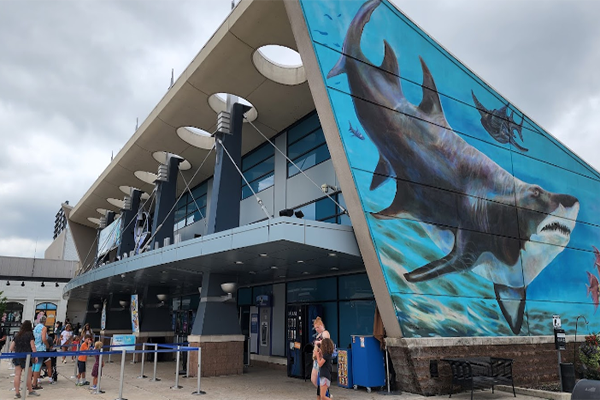 Dive into the Deep: Cincinnati’s Aquatic Wonderlands