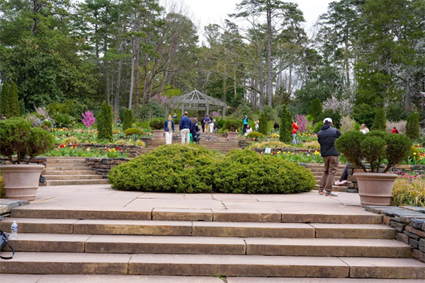 Blooms, Bounties, and Beauty: Unveiling the Gardens of Durham