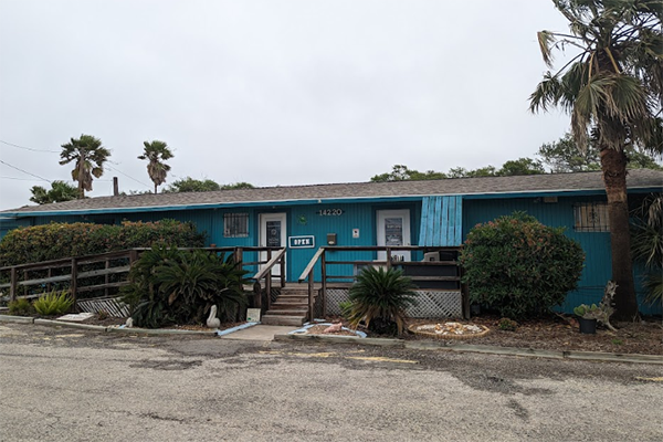 Beyond the Beach: Diving Into the Aquariums and Zoos of Corpus Christi