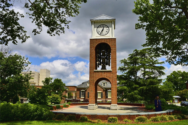 Shaping Futures: A Glimpse into the Colleges of Greensboro, NC