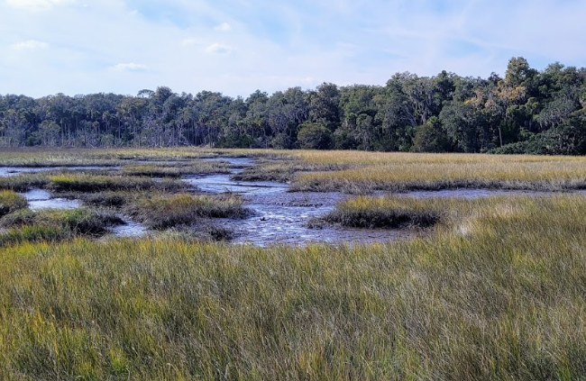 The Great Outdoors: Jacksonville’s Top Spots for Nature Lovers